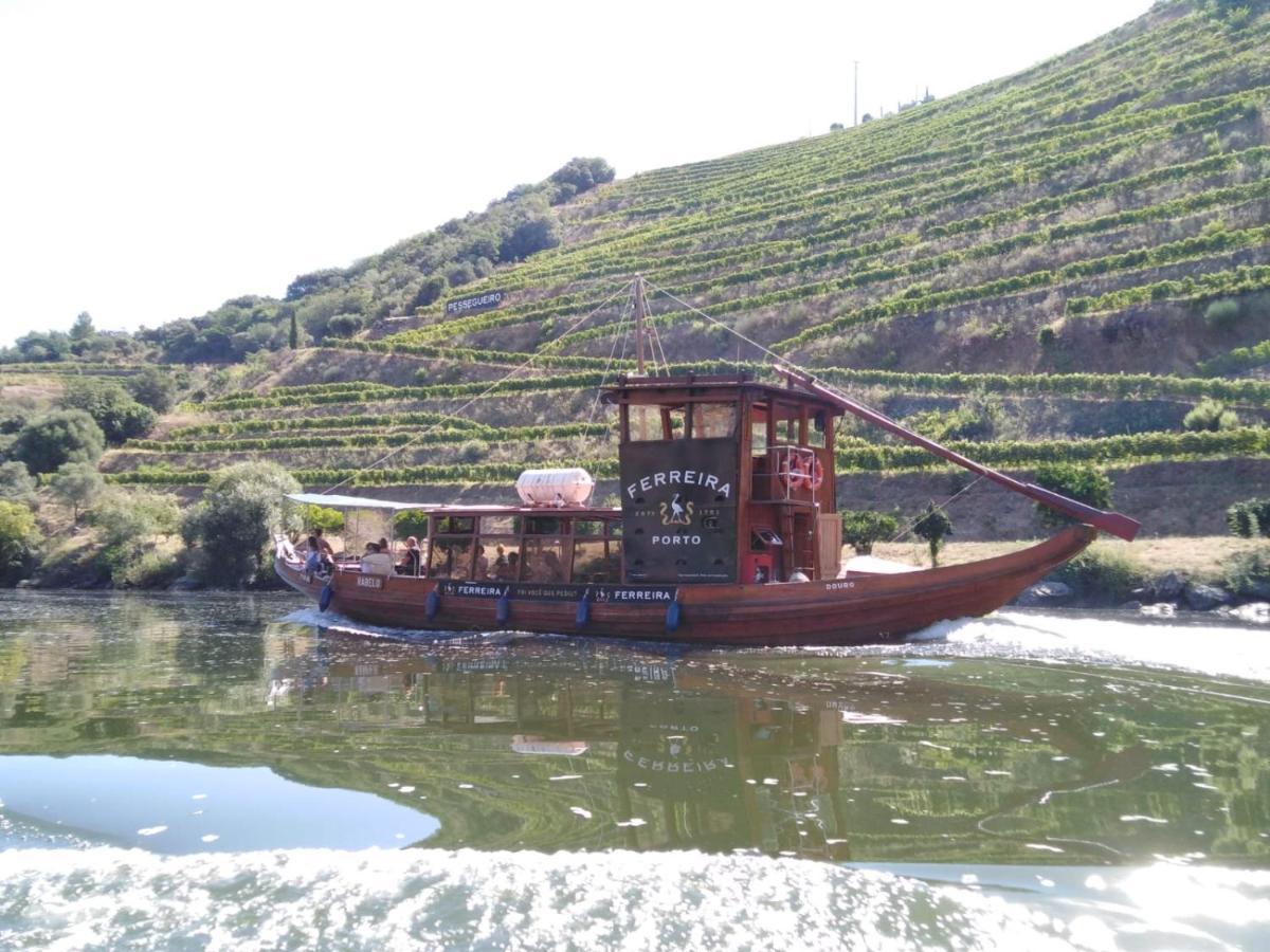 Casa Do Jornaleiro - Douro - Quinta Da Cabrida Casa de Férias *
