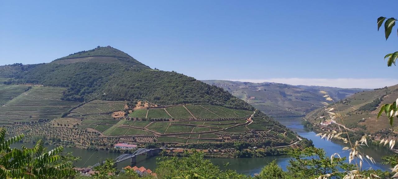 Casa de Férias Casa Do Jornaleiro - Douro - Quinta Da Cabrida